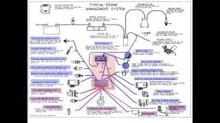 Instructor Series Inputs outputs amp PCM [upl. by Alokin]