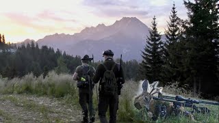 Bergjagd Juli 2022  Jagd auf Rotwild und Bergböcke [upl. by Ojillib]