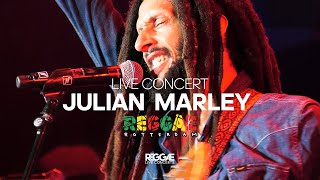 Julian Marley and the Wailers legendary performance at Reggae Rotterdam Festival [upl. by Enidaj]