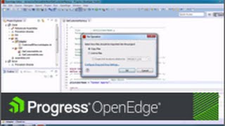 Getting Started with Progress Developer Studio for OpenEdge [upl. by Misti]