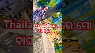 Thailand 🇹🇭 ରେ ମୋ ବାଘ ଧରା 😎😎thailand bangkok tiger s s linky blogs [upl. by Llehsar]