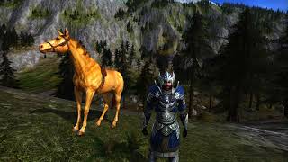 LOTRO Unreleased Soundtrack  Gondorian Pride [upl. by Allemat704]