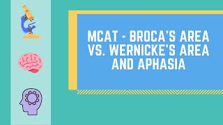 Brocas Area vs Wernickes Area and Aphasia MADE EASY  MCAT [upl. by Viafore]