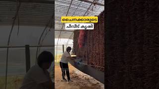 CITU സഖാക്കളെ അടിച്ചു റൊട്ടിയാക്കി തമിഴ്നാട് പോലീസ് മാസ്സാണ്  dnanewsmalayalam [upl. by Eetnuahs]