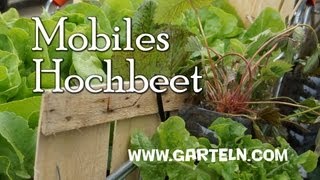 Mini Hochbeet im Einkaufswagen [upl. by Nelsen]