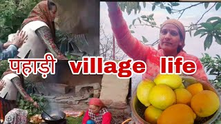 snowless winter himachali village life vlog🍊🍊galgal achar recipe [upl. by Cob]