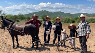 ASI TRABAJAMOS LOS RANCHERITOS DE SINALOA [upl. by Duaner]