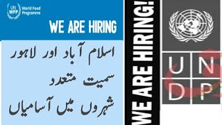 World Food Programme Jobs in Pakistan  UNDP Pakistan jobs 2023  WFP jobs 2023  UN Jobs [upl. by Giovanna331]