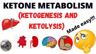 Ketone metabolismketogenesisketolysisRegulation of ketone metabolismmedicos tamizhatamil [upl. by Macmillan]