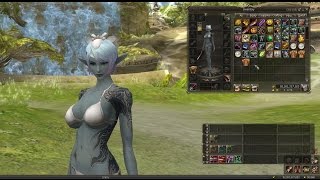 Adenian Tattoo and Transparent Armor added  wwwLineage2ertheiacom [upl. by Ocirderf644]