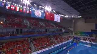 2014 World Championships  Womens All Around Final  Full Broadcast [upl. by Nyrret]