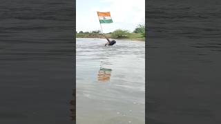 Mera Mulk ❤️Mera Desh 🇮🇳 Status short video [upl. by Kcirtap]