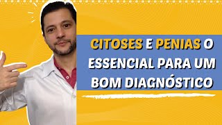 Citoses e penias em cães e gatos o que significam [upl. by Drarej580]