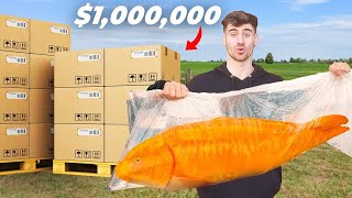 1000000 Koi Unboxing World Record [upl. by Scrogan794]