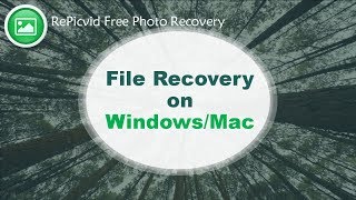 File Recovery on WindowsMac [upl. by Naujek]