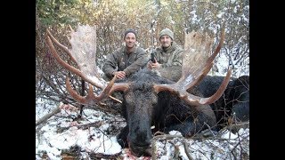 British Columbia moose hunt Canada  älgjakt i British Columbia Kanada  Jagd auf Elch in Kanada [upl. by Reifnnej76]