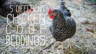 5 Different Chicken Coop Beddings [upl. by Orson]