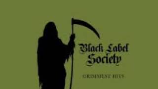 Black Label Society The Blessed Hellride [upl. by Annahtur112]