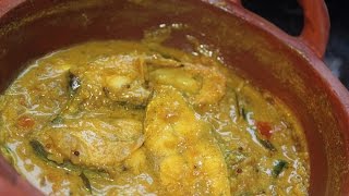 Fish Moilee  Traditional Spicy Curry [upl. by Isyed]