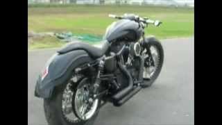 HARLEYDAVIDSON ハーレーダビットソン XL883R SPORTSTER カスタム TRIJYA [upl. by Valerlan]