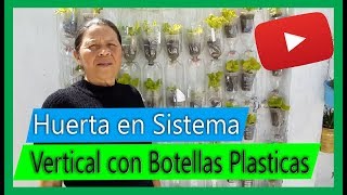 Cómo hacer una HUERTA con botellas plásticas en sistema VERTICAL GRATIS [upl. by Nilesoy]