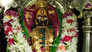 Tuljapur Shree Tulaja Bhavani Darshanam  Jai Bhavani  FTAM Spiritual Tour  AK Telugu Media 2024 [upl. by Akitahs]