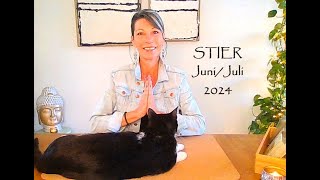 🌟STIER🌟 JuniJuli 2024  WOW Alle 4 Azen soulsearch tarot stier [upl. by Leinod]