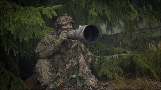 4 DNI čakania na MEDVEDE takto to väčšinou chodí  BEAR PHOTOGRAPHY in SLOVAKIA  Ep 2 [upl. by Keslie]