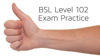 BSL Level 102 exam practice [upl. by Neva]