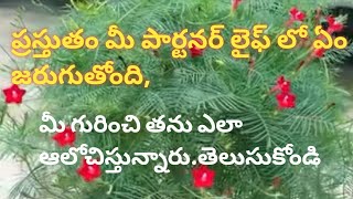 💯❤️మీ పార్టనర్ లైఫ్ లో ప్రస్తుతం ఏమేమి జరుగుతున్నాయితన ఆలోచనలు ఏంటి మీకోసం [upl. by Oliana]