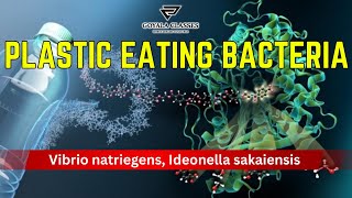 Plastic eating bacteria  Vibrio natriegens Ideonella sakaiensis ias currentaffairs bacteria [upl. by Vieva]