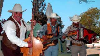 Los Campesinos De Sonora  Pilares De Cristal [upl. by Eimmit]