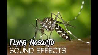 FLYING MOSQUITO  SOUND EFFECTS [upl. by Oicelem]