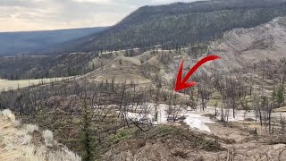 Chilcotin River is starting To overflow slide Area  video 5 Aug 2024 [upl. by Babbette]