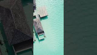 Jawakara Islands Maldives  Water Villas [upl. by Yboj731]