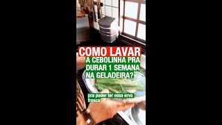 SÉRIE DICAS DE COZINHA COMO LAVAR A CEBOLINHA E AUMENTAR A SUA VIDA ÚTIL NA GELADEIRA [upl. by Nirok379]