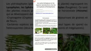 Les cormophytes  reproduction et cycles biologiques Ptéridophytes [upl. by Adnwahsat]