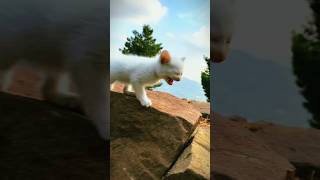 Kitten meowing loudly  kitten sound kitten shorts cat [upl. by Nhguavahs]