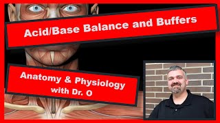 AcidBase Balance Buffers Anatomy and Physiology [upl. by Enal]