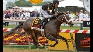 2013 Preakness Stakes  Oxbow [upl. by Latoniah]