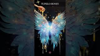 Tupelo Honey by Van Morrison [upl. by Hekking]