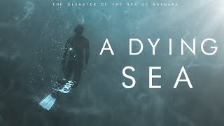 A DYING SEA  The Disaster Of The Sea Of Marmara  FJ Seltmann [upl. by Bocyaj]