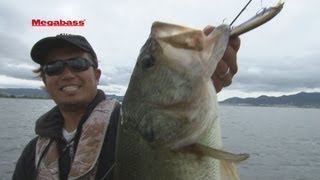 MEGABASS MOVIE 144 ITOSHINER 実釣 [upl. by Alyehs]