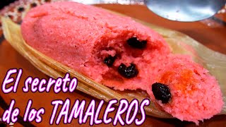 Como hacer TAMALES de DULCE EL SECRETO DE LOS TAMALEROSHow to make TAMALES  El Mister Cocina [upl. by Alleon922]