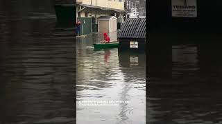 Portland flooding Harbor fish [upl. by Nnylharas]