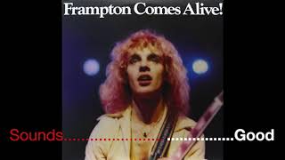 Peter Frampton  Do You Feel Like We Do  Frampton Comes Alive [upl. by Mir]