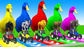 5 Giant Duck Cartoon Cow Mammoth Elephant Lion Paint Wild Animals Crossing Fountain Animation [upl. by Anaed]