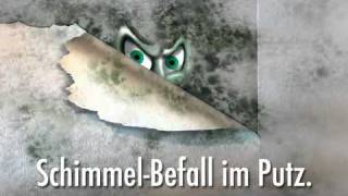 Anleitung Schimmel in Wohnung Wand  Bad entfernen [upl. by Radbun]