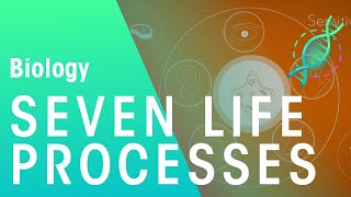 Seven Life Processes  Physiology  Biology  FuseSchool [upl. by Renell985]