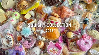 SQUISHY COLLECTION 2023 [upl. by Orsola]